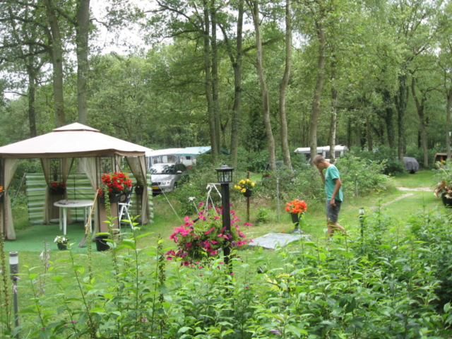 foto,s 2011-2012 100