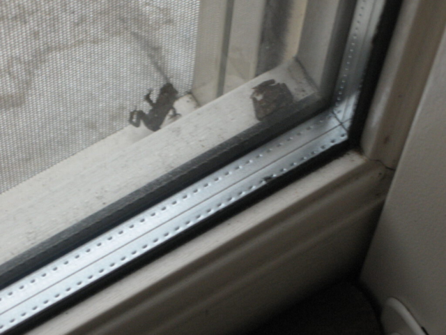 foto,s 2011-2012 102