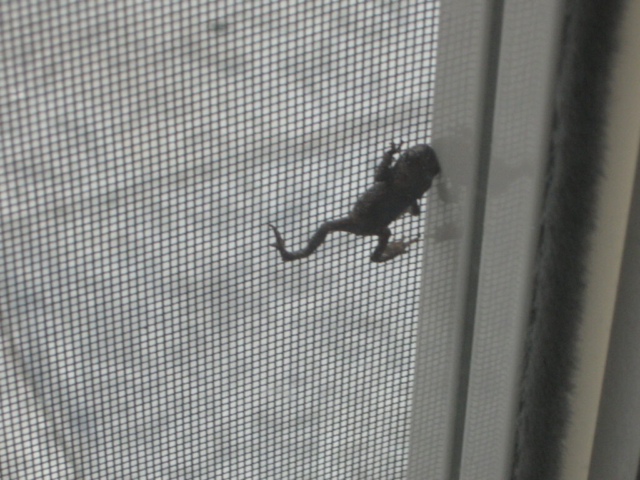 foto,s 2011-2012 103