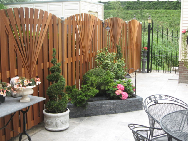 foto,s 2011-2012 122