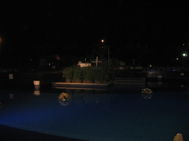 foto,s 2011-2012 176