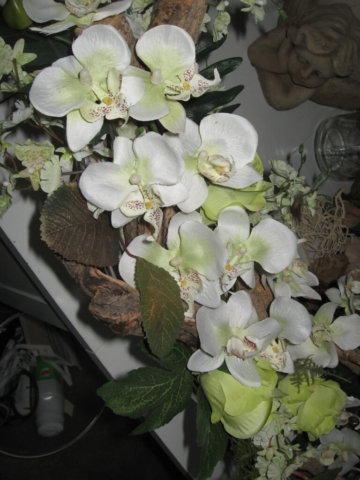 mijn afbeeldingen 073