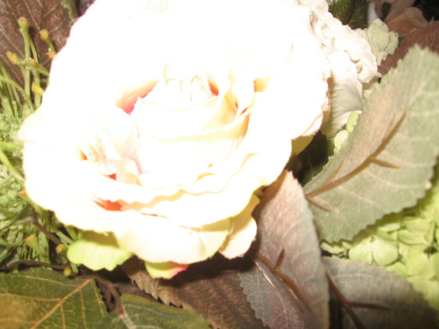 mijn afbeeldingen 076