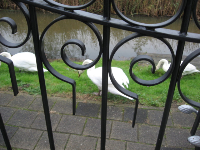 mijn afbeeldingen 089