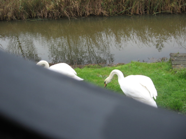 mijn afbeeldingen 090