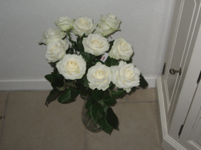 mijn afbeeldingen 095