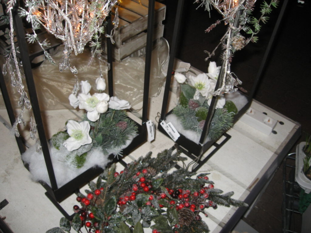 mijn afbeeldingen 110