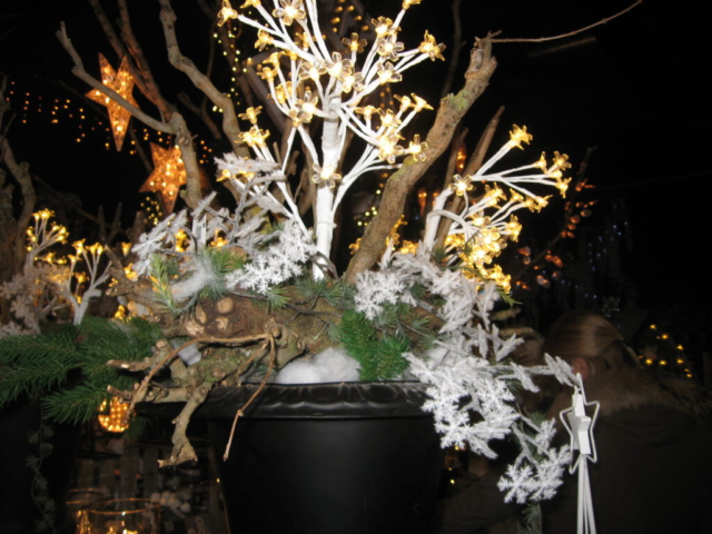 mijn afbeeldingen 111