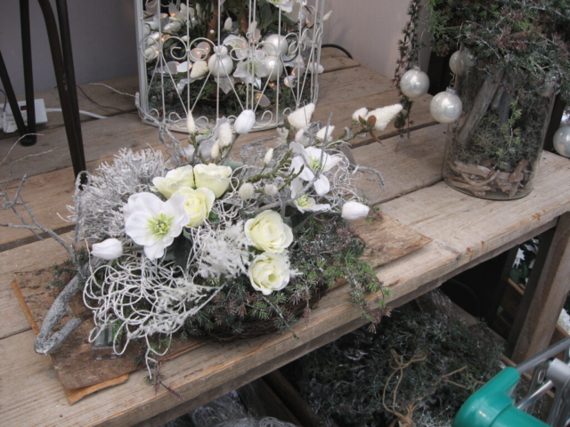 mijn afbeeldingen 113