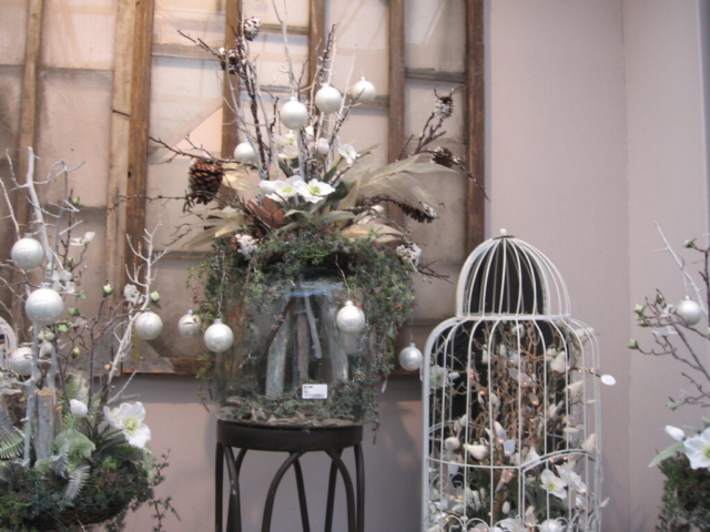 mijn afbeeldingen 114