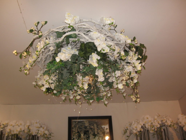 mijn afbeeldingen 117