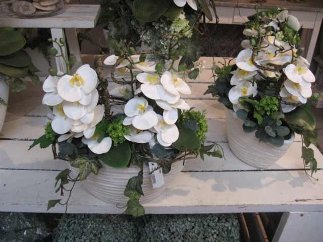 mijn afbeeldingen 119