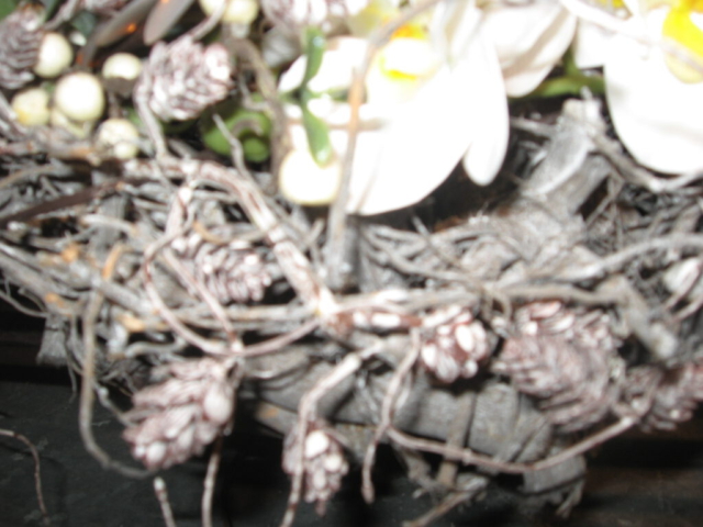 mijn afbeeldingen 122