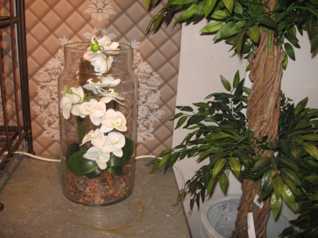 mijn afbeeldingen 123