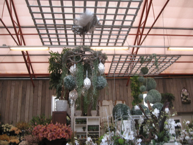 mijn afbeeldingen 124