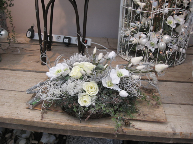 mijn afbeeldingen 127